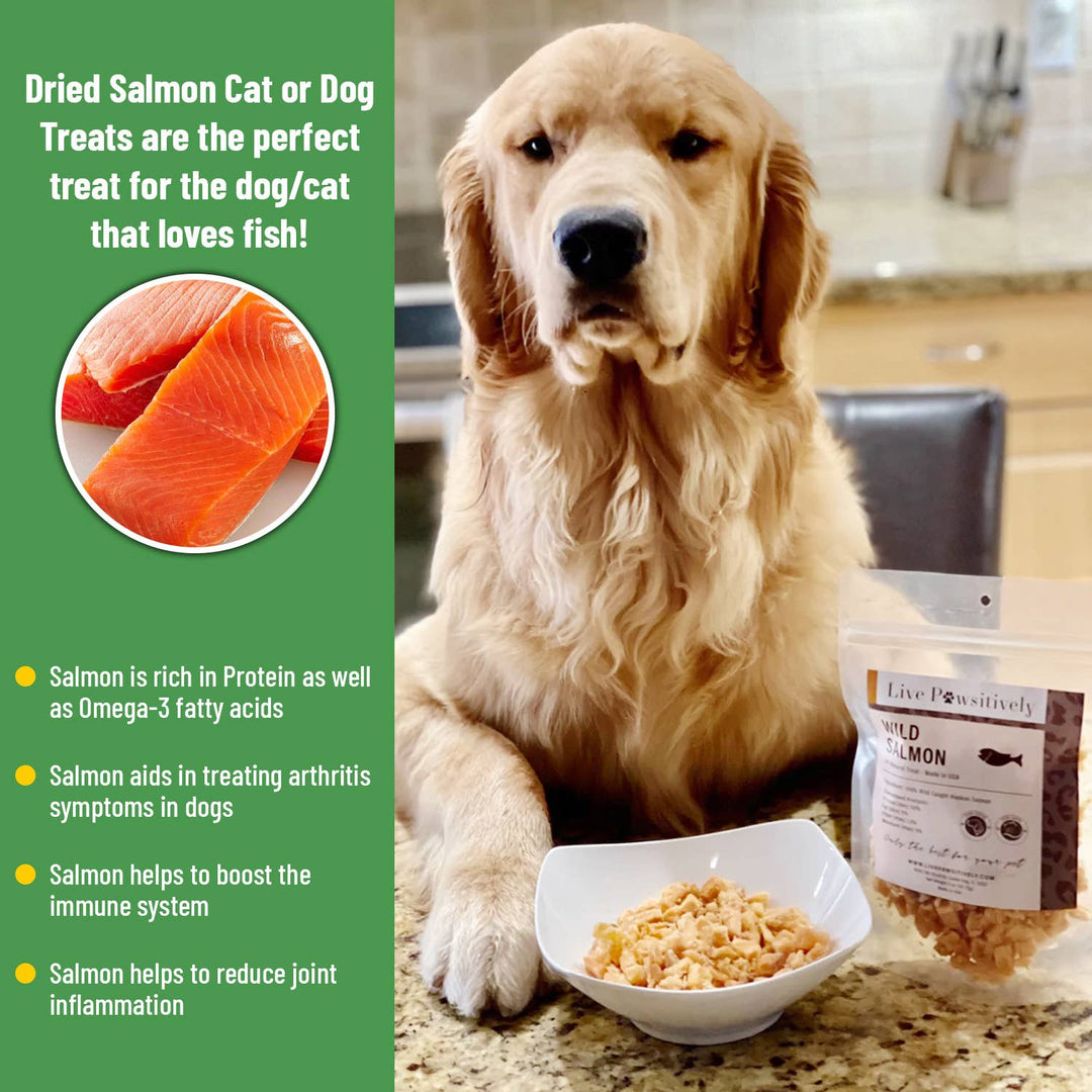 Live Pawsitive - Wild Salmon ,  Dried treat for Dogs