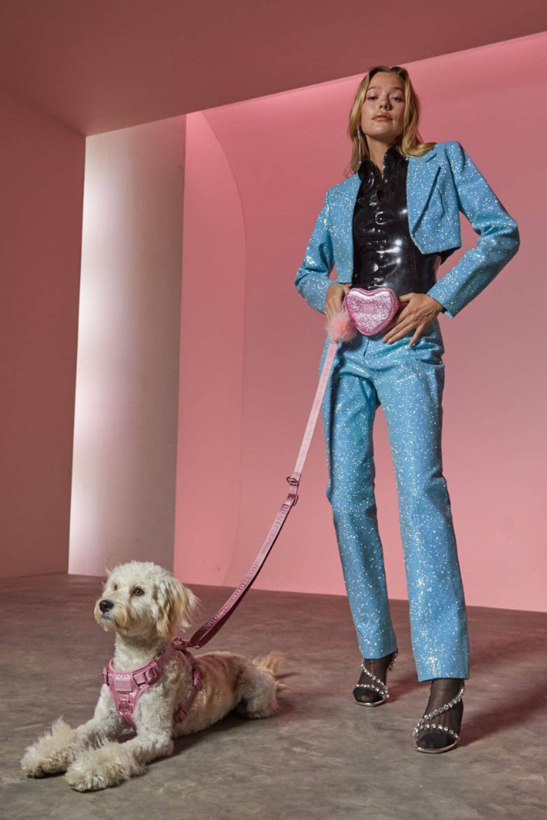 maxbone - Christian Cowan x maxbone Glitz Walk Set for Dogs: Medium