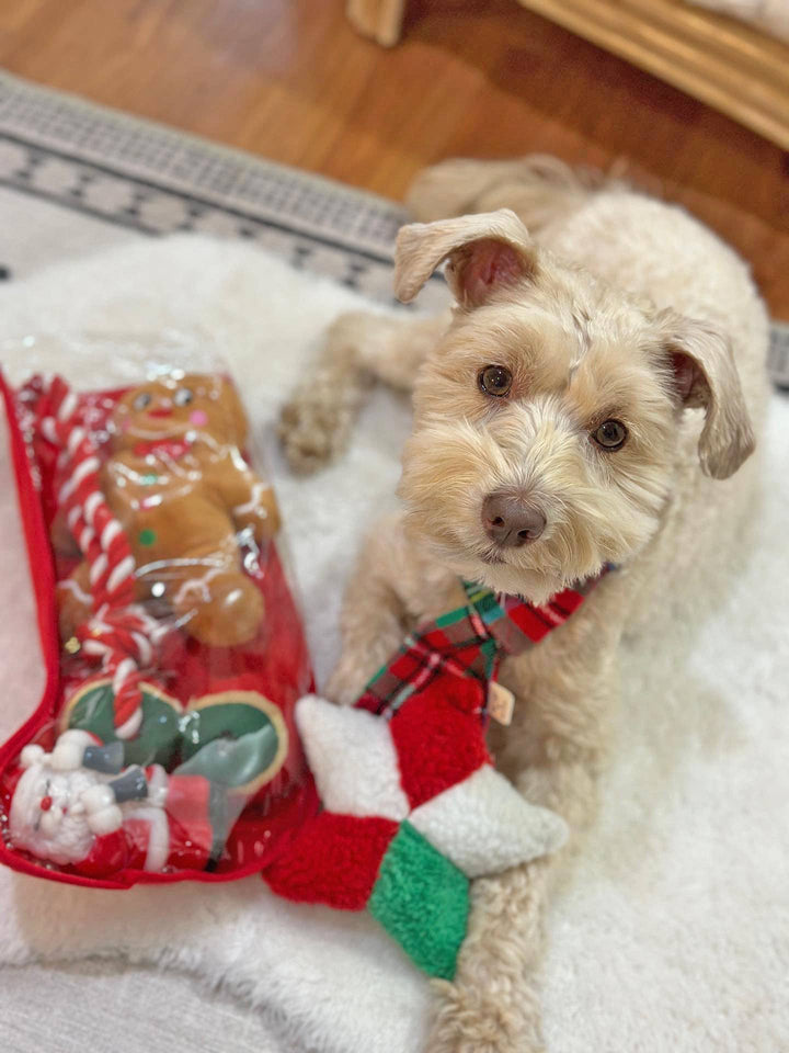 Midlee Designs - Midlee Toy Filled Christmas Dog Stocking Gift Set