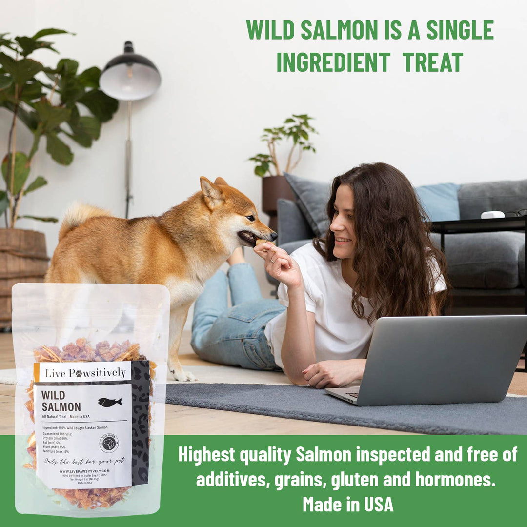 Live Pawsitive - Wild Salmon ,  Dried treat for Dogs