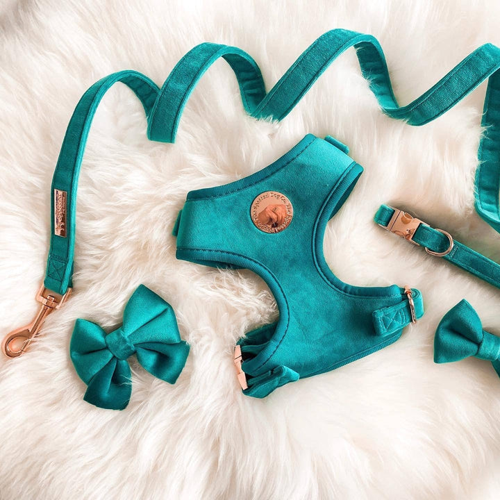 The Spotted Dog Company - Jade Velvet Harness: Medium