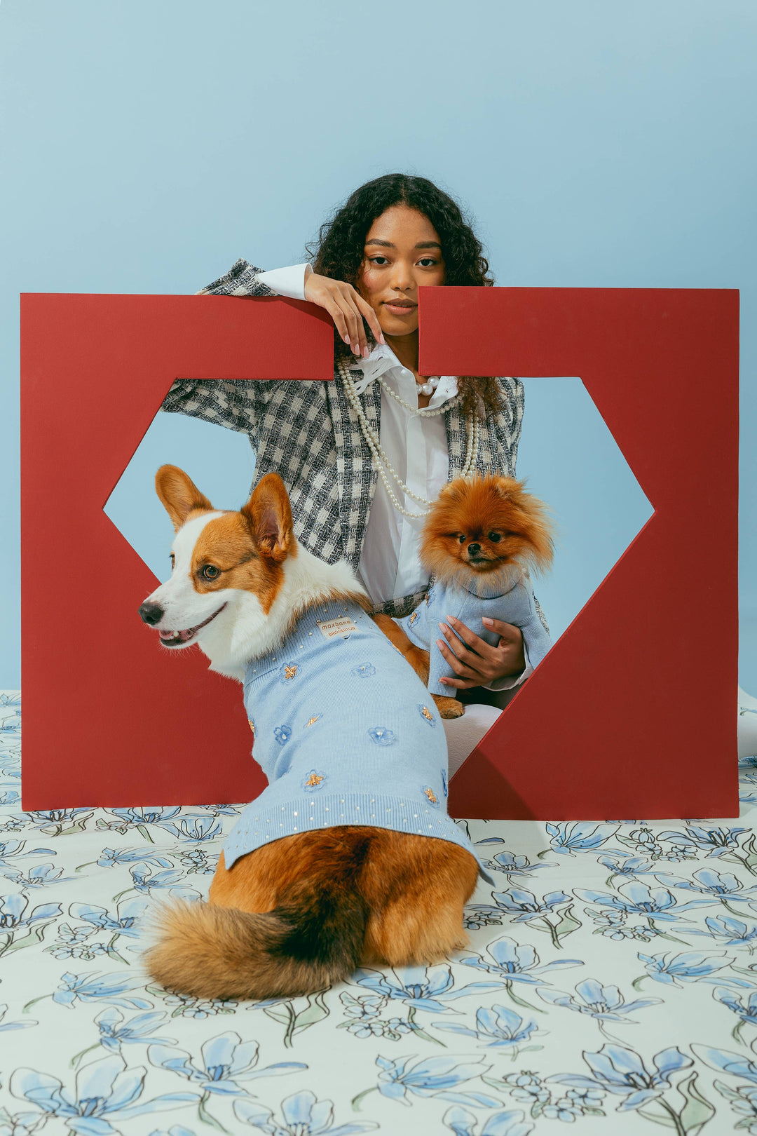 maxbone - Bridgerton x maxbone Jumper for Dogs: Medium