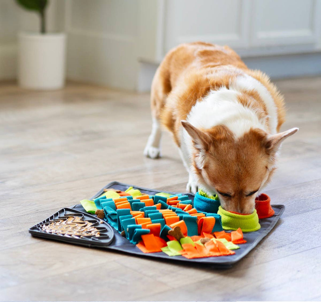 Pet Palette Distribution - Messy Mutts Square Forage/Snuffle Mat 16" with Suction