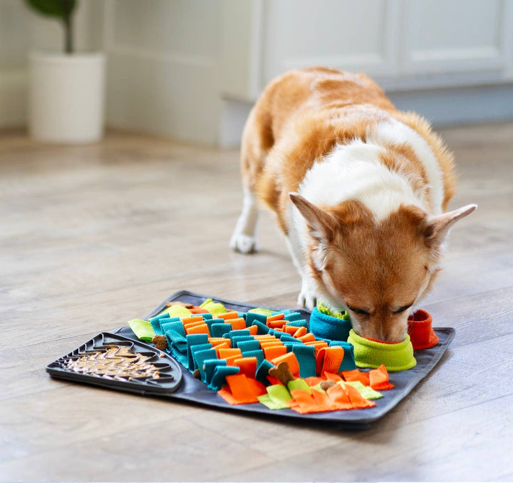 Pet Palette Distribution - Messy Mutts Square Forage/Snuffle Mat 16" with Suction