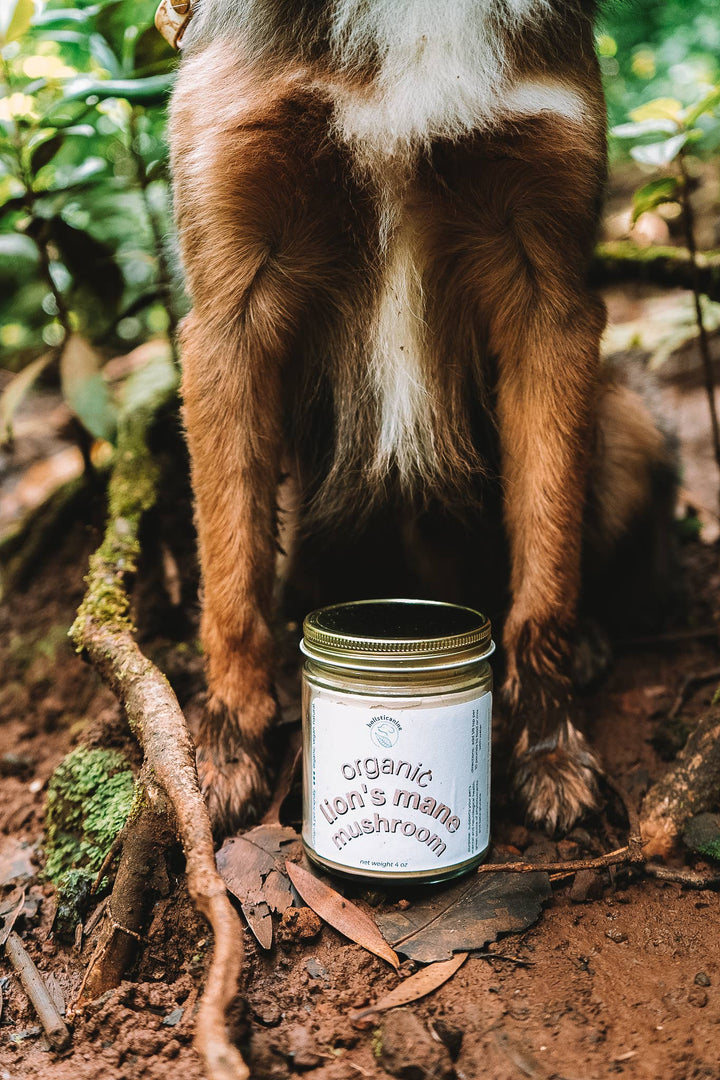 holisticanine - Organic Lion's Mane Mushroom Supplement