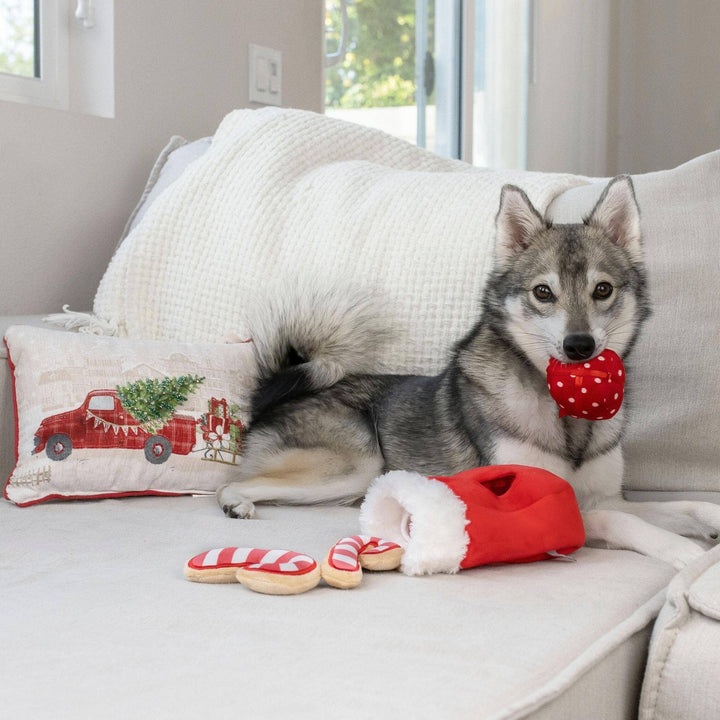 Midlee Designs - Midlee Find a Toy Christmas Stocking Dog Toy