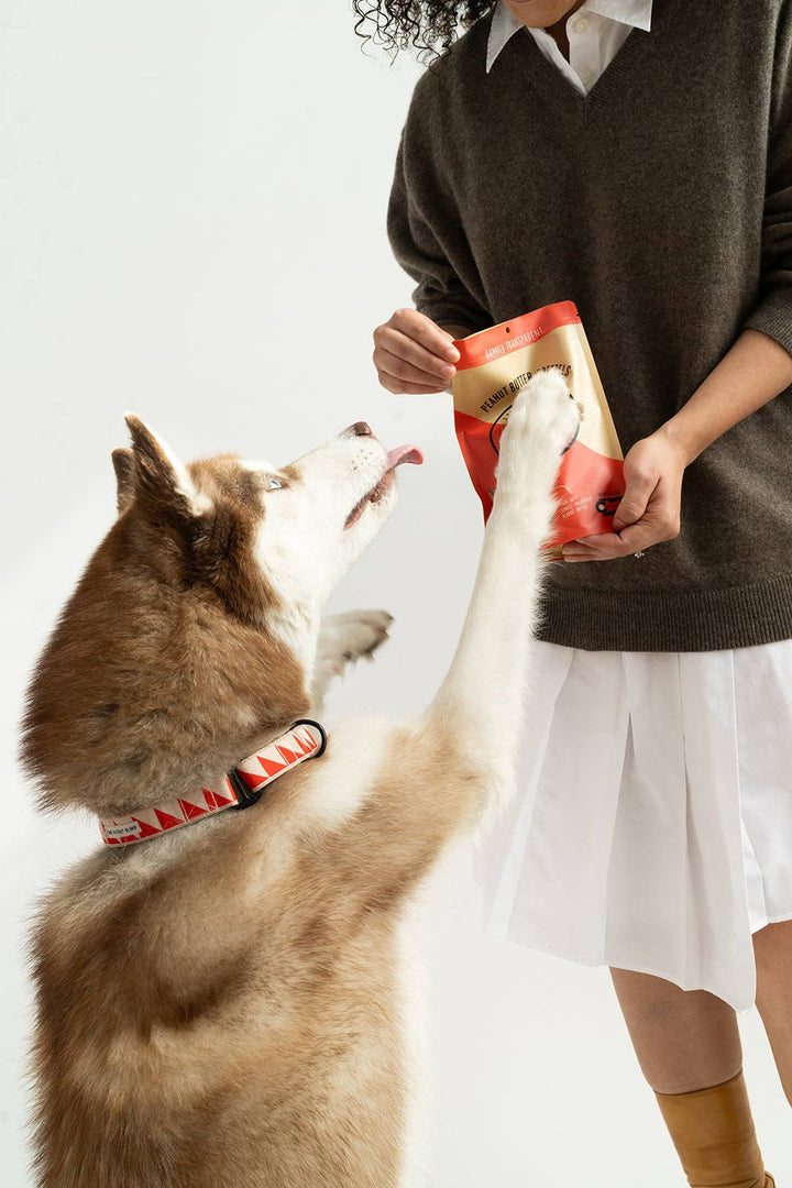 Winnie Lou - The Canine Co. - Peanut Butter Pretzels