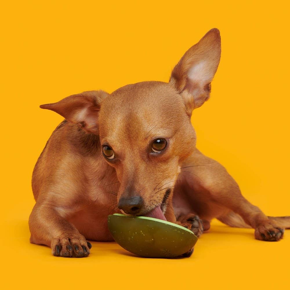 Pet Palette Distribution - BARK Avocadoggo Super Chewer Dog Toy