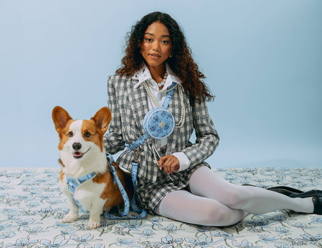 maxbone - Bridgerton x maxbone Walk Set for Dogs: Medium