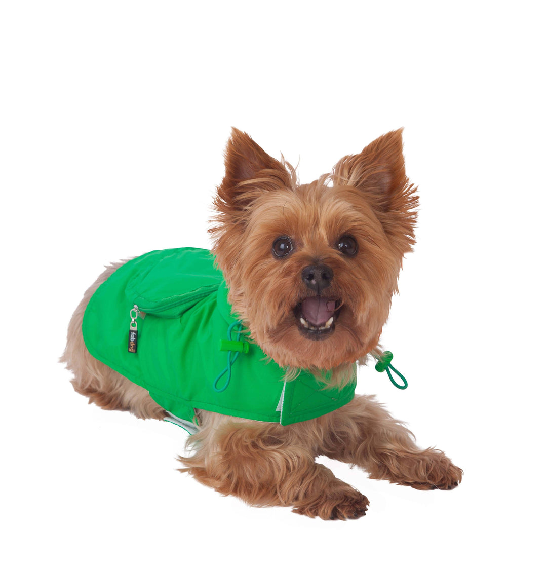 Green Packaway Dog Raincoat: M