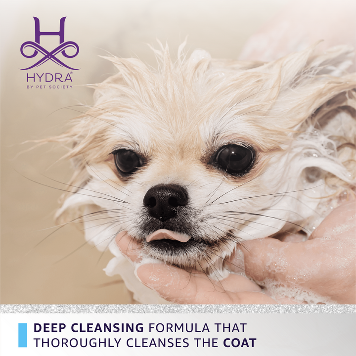 Hydra Professional Xtreme Deep Cleansing Shampoo: 169 oz/ 5L