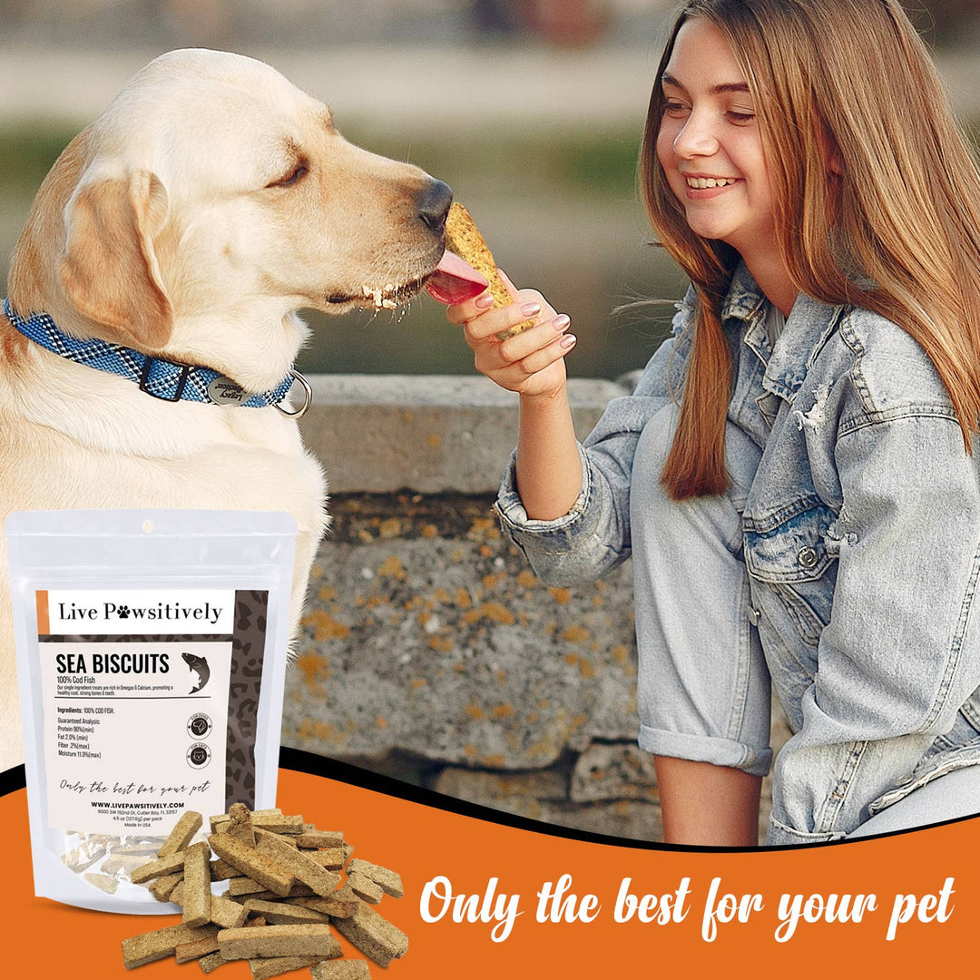 Live Pawsitive - Sea Biscuits, 100% Cod Fish Treat for Dogs, 4.5 oz