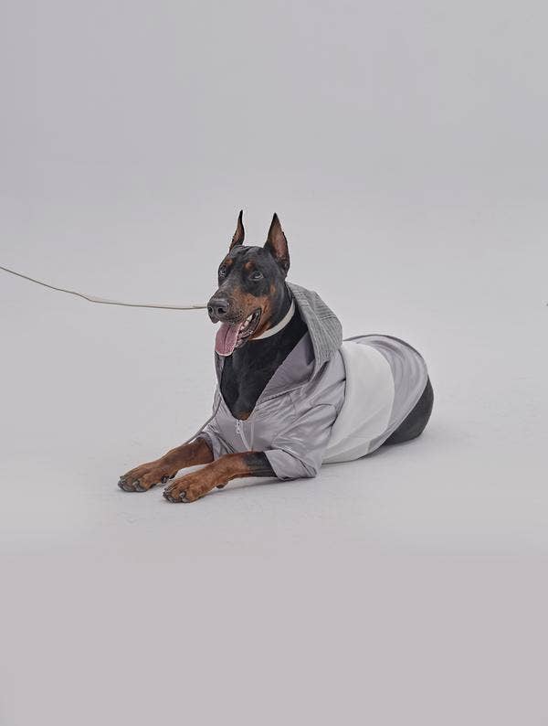 PEHOM - Pet Neoprene Zip Hoodie: M
