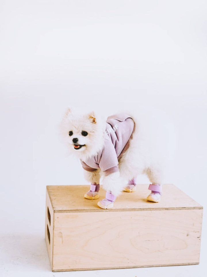 RIFRUF - Caesar 1: Black / 5