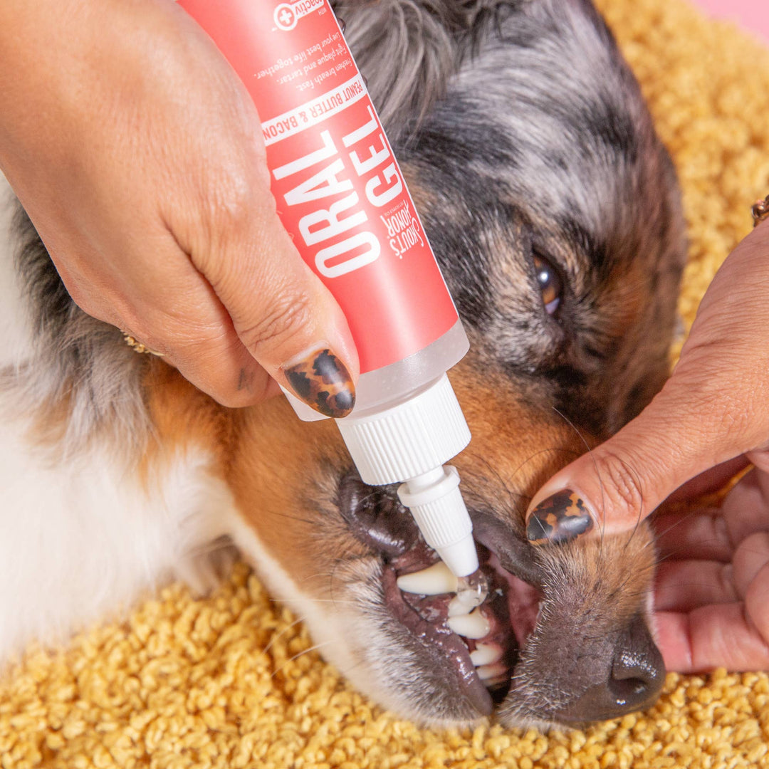 Pet Palette Distribution - Skout's Honor Oral Gel: Peanut Butter & Bacon 4oz