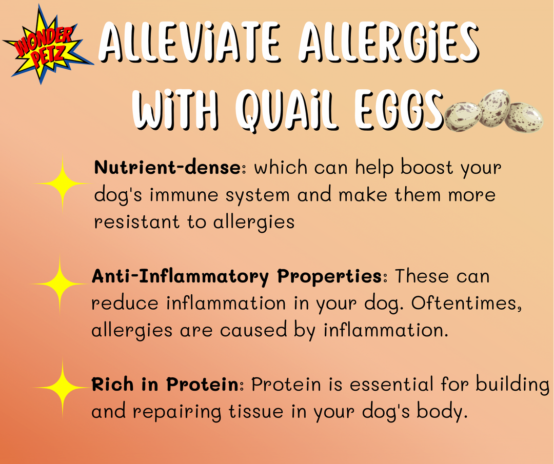 Wonder Petz - Quail Egg Pretty Picky Powder - Allergy Relief