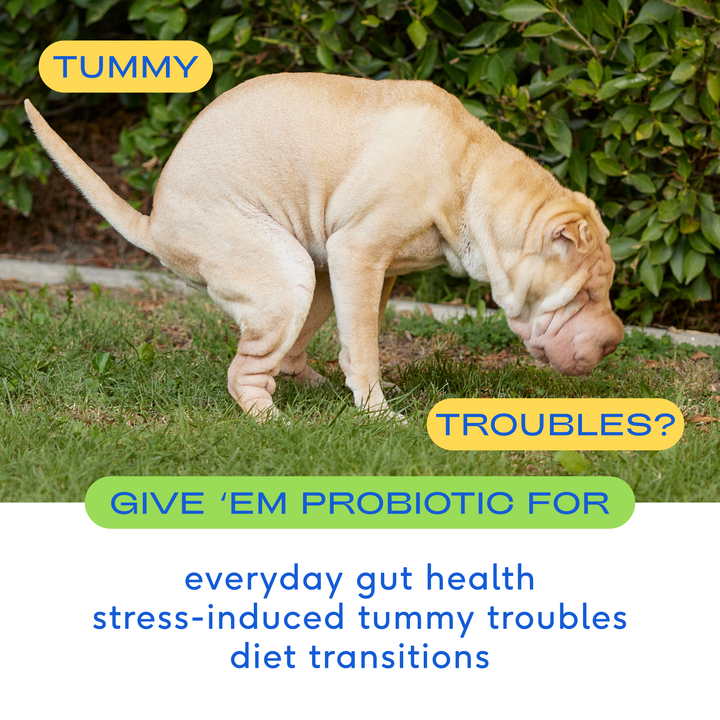 Native Pet - PROBIOTIC: 4.1 oz