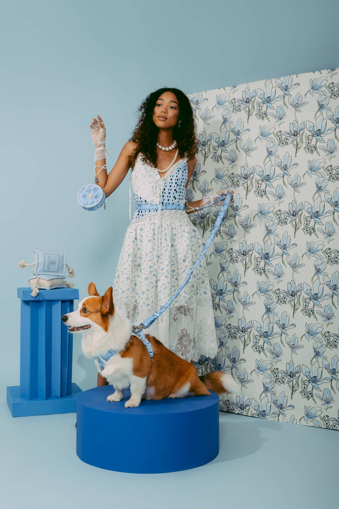 maxbone - Bridgerton x maxbone Walk Set for Dogs: Large