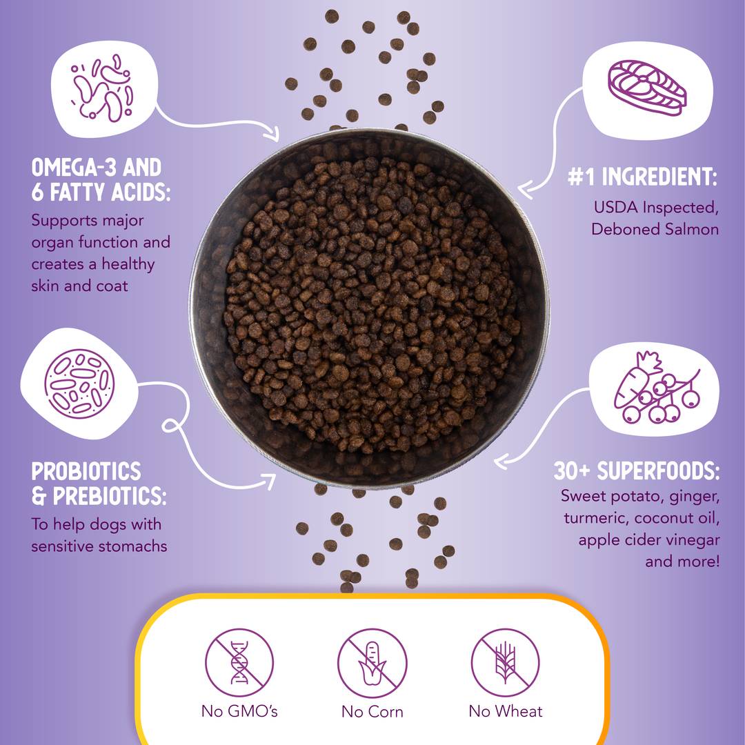 Health Extension Pet Care - Grain Free Salmon & Sweet Potato Little Bites Recipe: 3.5lb