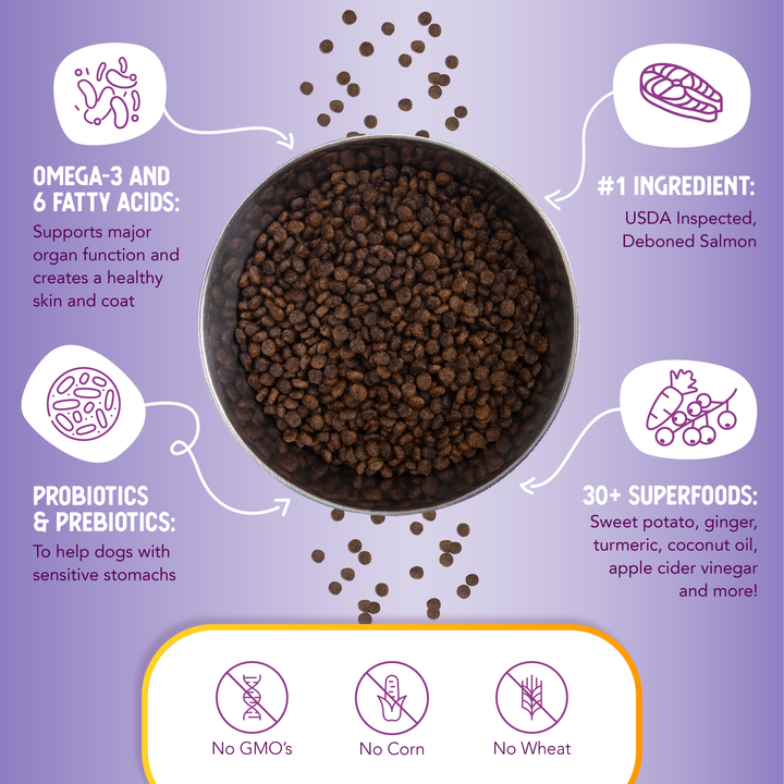 Health Extension Pet Care - Grain Free Salmon & Sweet Potato Little Bites Recipe: 3.5lb