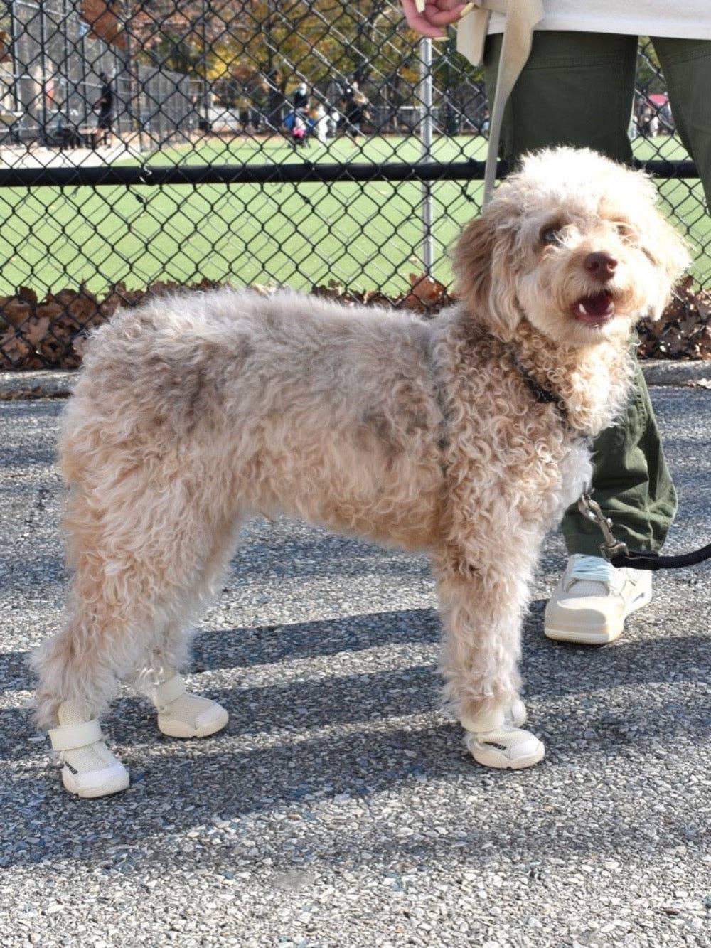 RIFRUF - Caesar 1: Black / 5