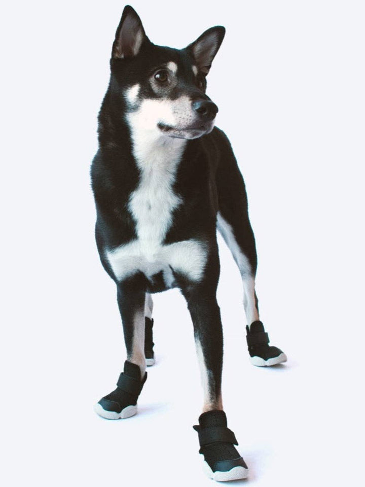 RIFRUF - Caesar 1: Black / 5