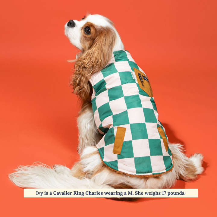 The You're a Square Reversible Teddy Vest: Small