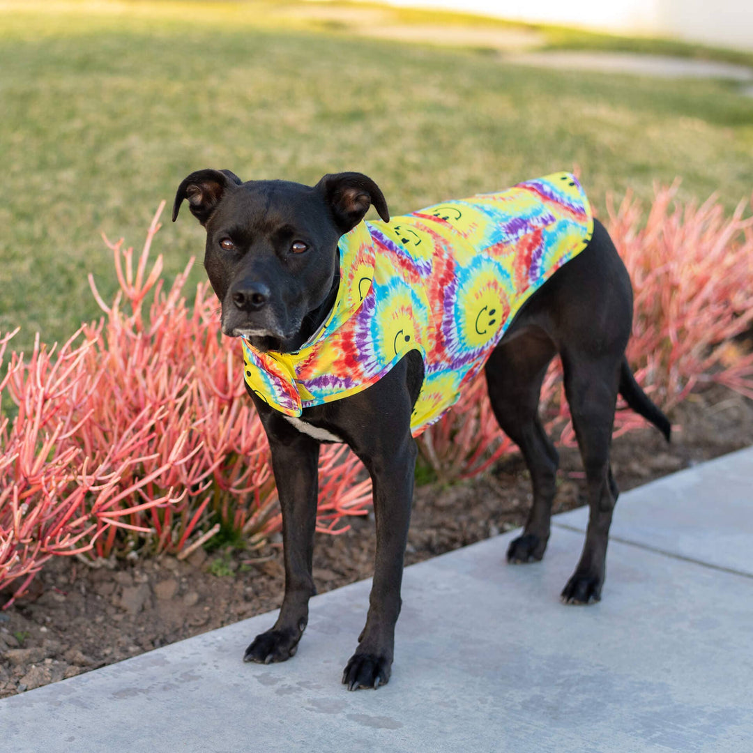 Canada Pooch - Pick Me Poncho Dog Raincoat (Tie Dye Smiley)