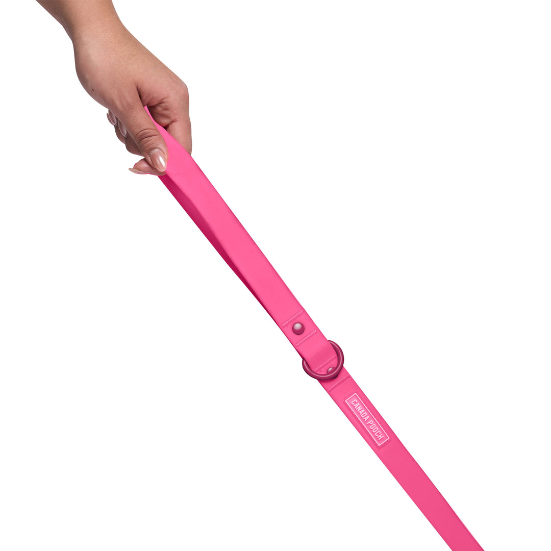 Canada Pooch - Waterproof Dog Leash (Pink): S/M / Pink