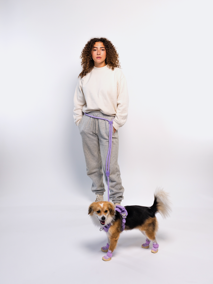 RIFRUF - Commuter Leash: Borough / 73in Length