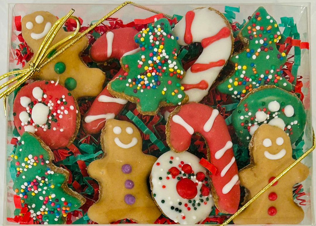 DELCO DOG CO. - Christmas Assorted Mini Treat Gift Box