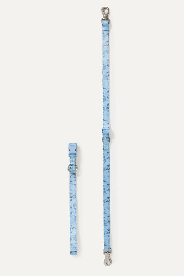 maxbone - Bridgerton x maxbone Walk Set for Dogs: Small