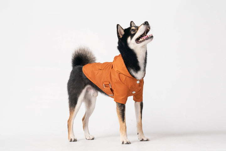 PEHOM - Raincoat - Orange: XL