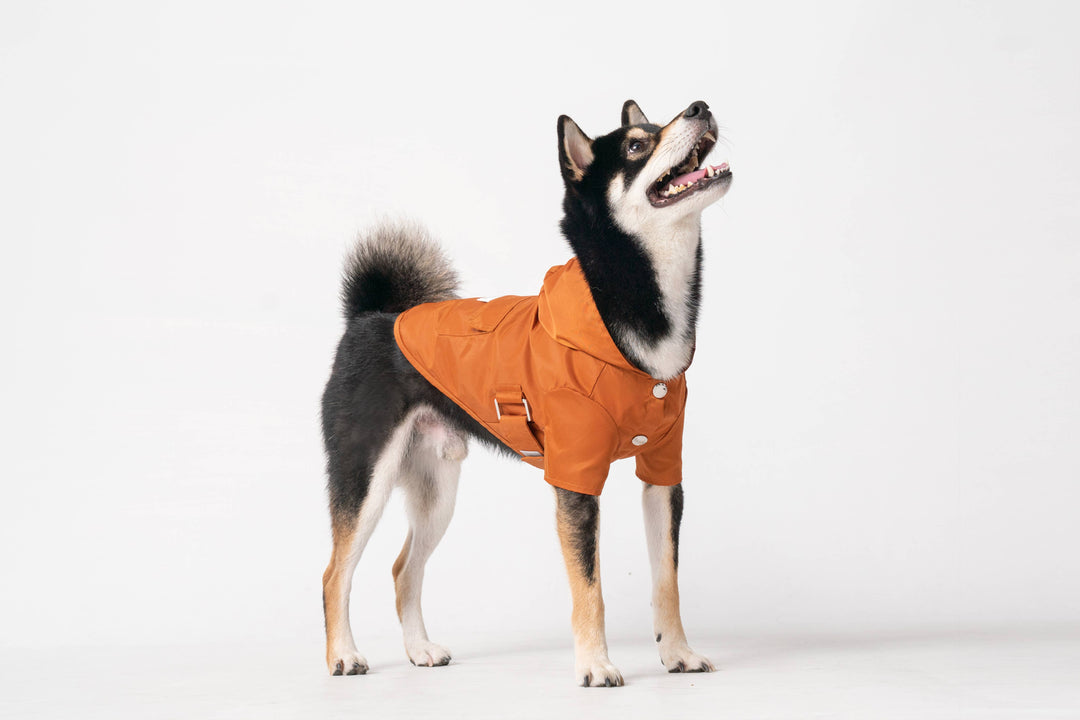 PEHOM - Raincoat - Orange: XS