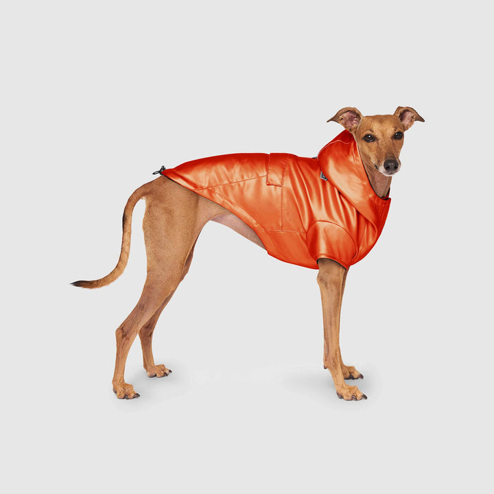 Canada Pooch - Cold Front Raincoat: Orange / 10