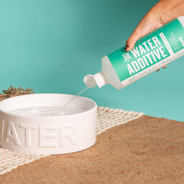 Pet Palette Distribution - Skout's Honor Oral Care Water Additive: Flavorless 32 oz