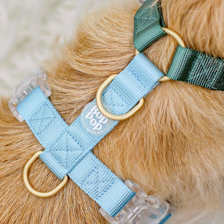 Bop Pop Pets - Classic Harness | Hunter Sky: Medium