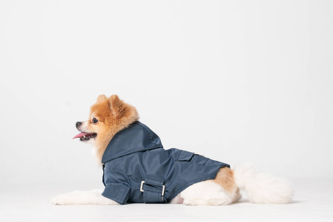 PEHOM - Raincoat - Blue: M