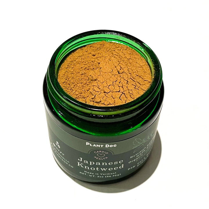 Plant Dog LLC - Japanese Knotweed Powder