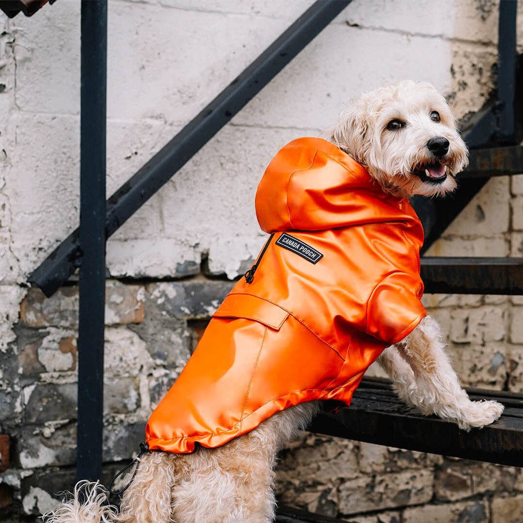 Canada Pooch - Cold Front Raincoat: Orange / 12