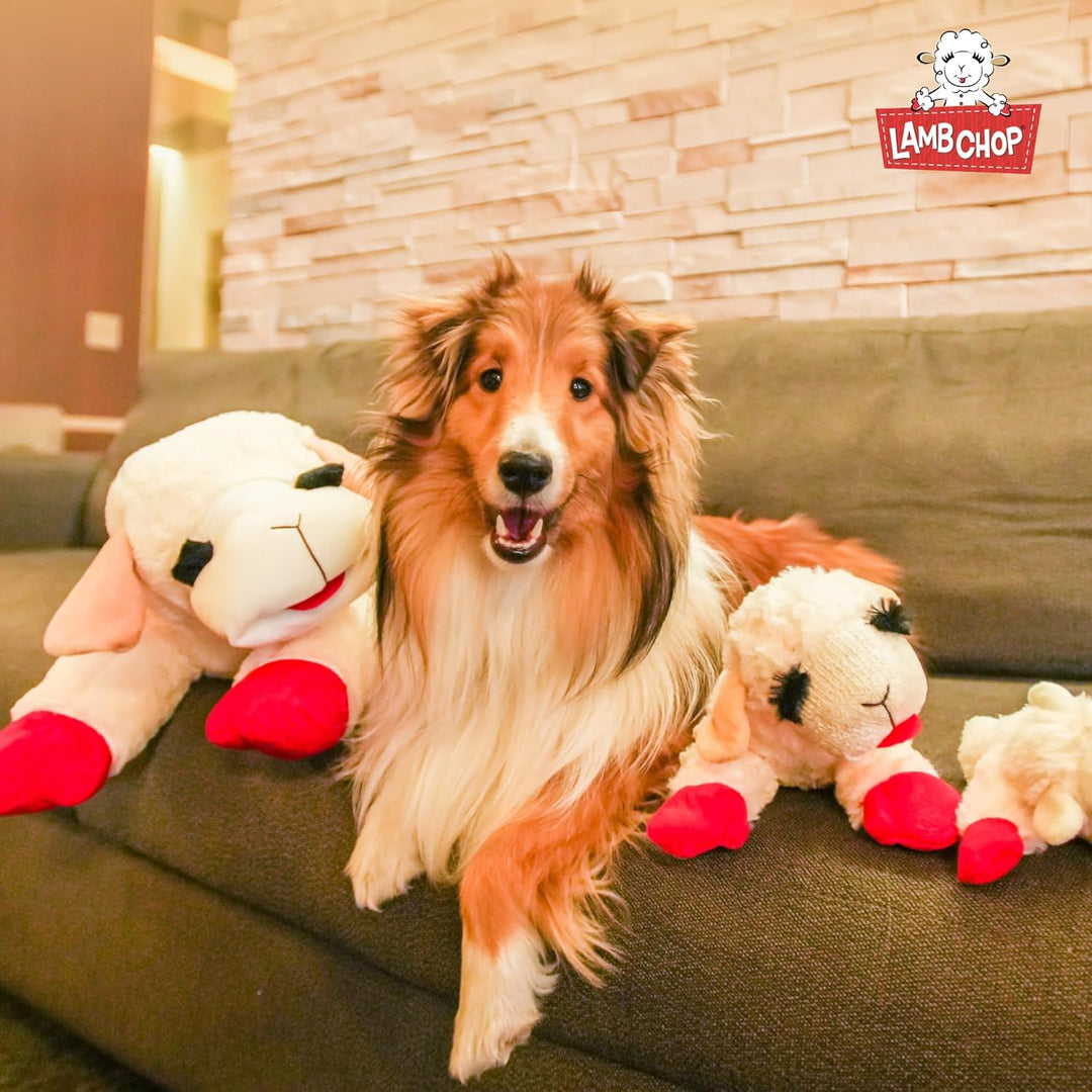 Multipet Lamb Chop Plush Dog Toy Jumbo 24"