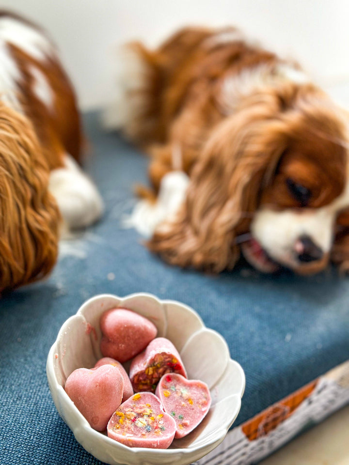 Cooka's Cookies - Ice-cream Mix with real chicken & strawberry for pets