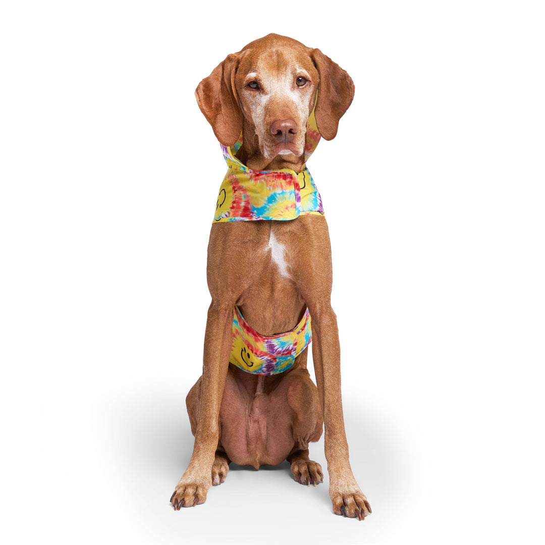 Canada Pooch - Pick Me Poncho Dog Raincoat (Tie Dye Smiley)
