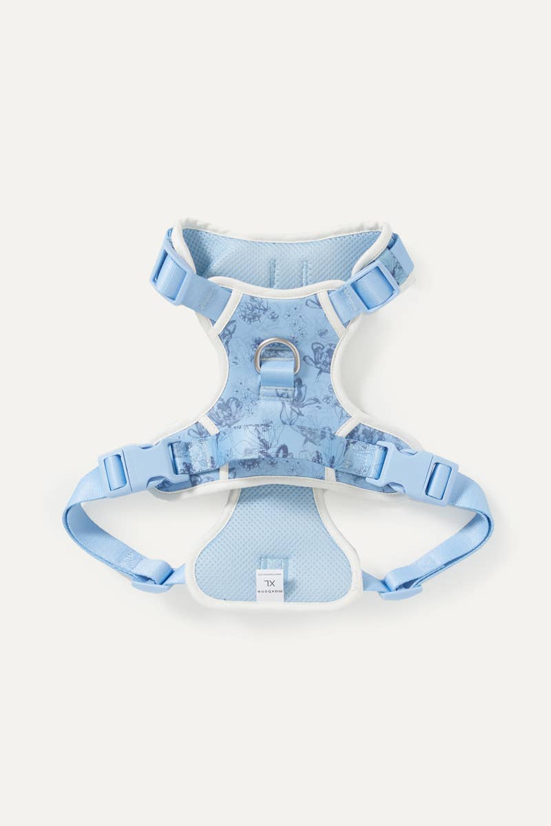 maxbone - Bridgerton x maxbone Walk Set for Dogs: Medium