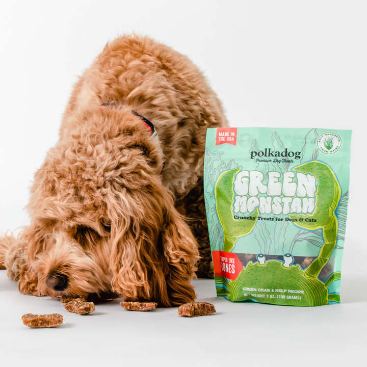 Pet Palette Distribution - Polkadog Green Monstah Bone Shaped Crunchy Dog & Cat Treats