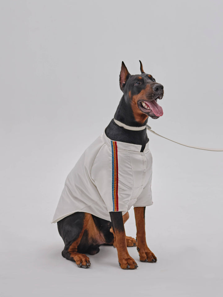 PEHOM - Pet Velvet Striped Jacket: S