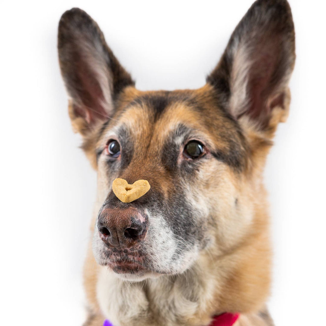 Roasted Duck w/ Orange & Carrot Crunchy Dog Treats, 1oz Case