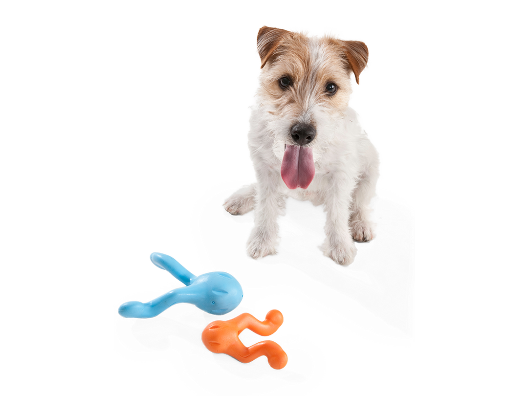 West Paw - Tizzi® Puzzle Treat-Dispensing Dog Enrichment Toy: S / Aqua Blue
