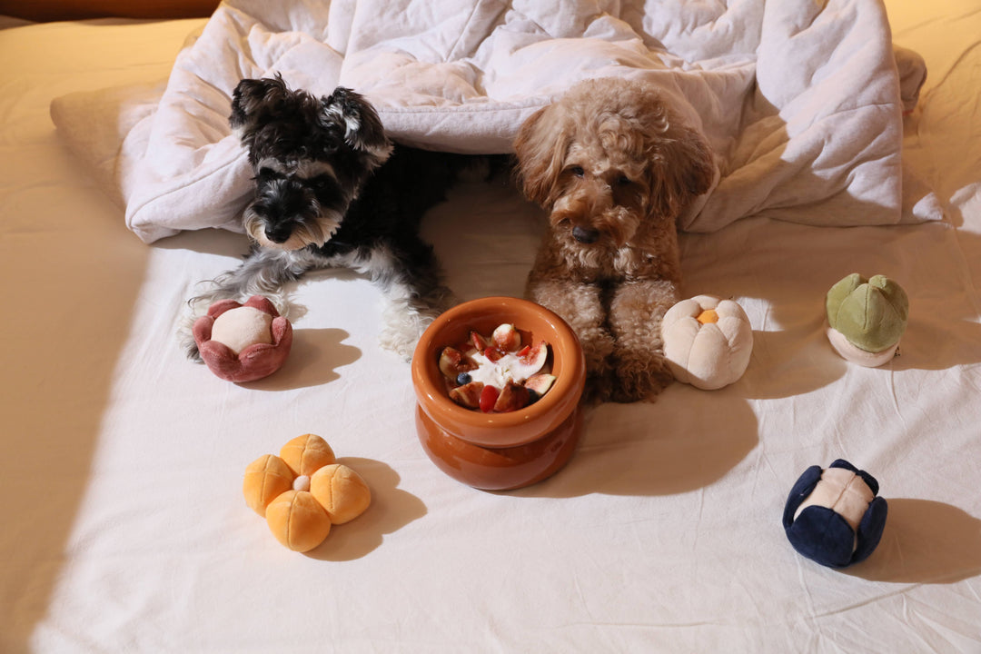 PEHOM - Soufflé Pet Bowl - Amber Orange