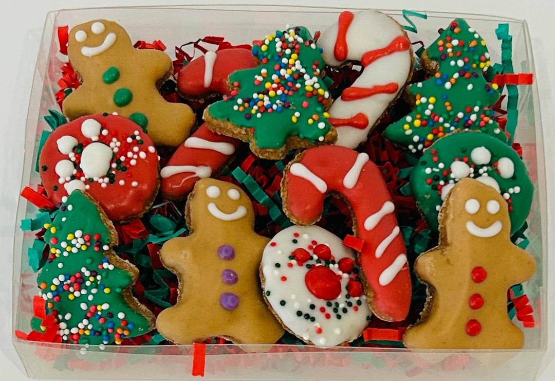 DELCO DOG CO. - Christmas Assorted Mini Treat Gift Box